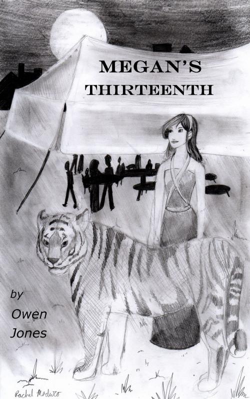 Cover of the book Megan's Thirteenth by Owen Jones, Megan Publishing Services