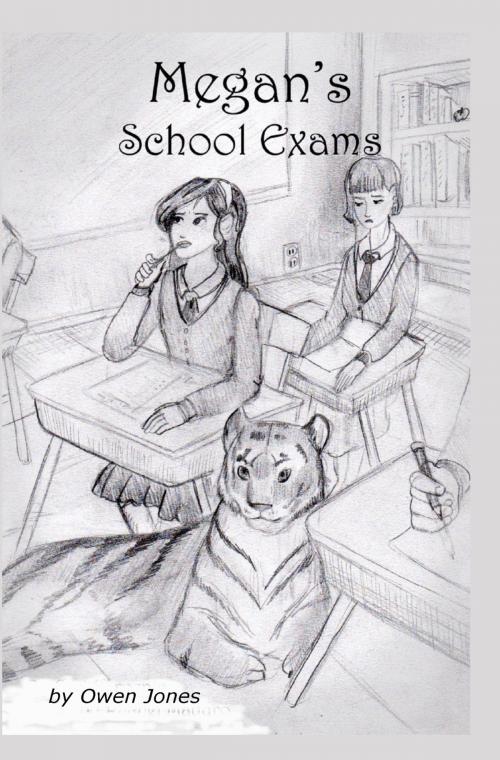 Cover of the book Megan's School Exams by Owen Jones, Megan Publishing Services