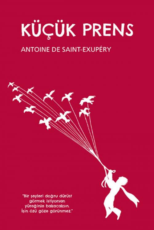 Cover of the book Küçük Prens by Antoine de Saint-Exupery, Notos