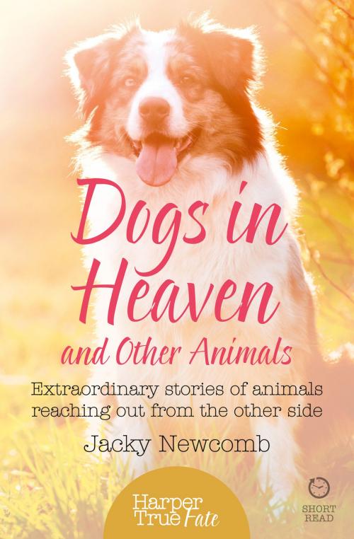 Cover of the book Dogs in Heaven: and Other Animals: Extraordinary stories of animals reaching out from the other side (HarperTrue Fate – A Short Read) by Jacky Newcomb, HarperCollins Publishers
