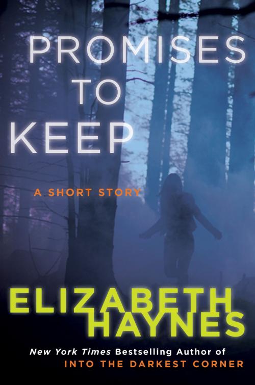 Cover of the book Promises to Keep by Elizabeth Haynes, Harper Paperbacks