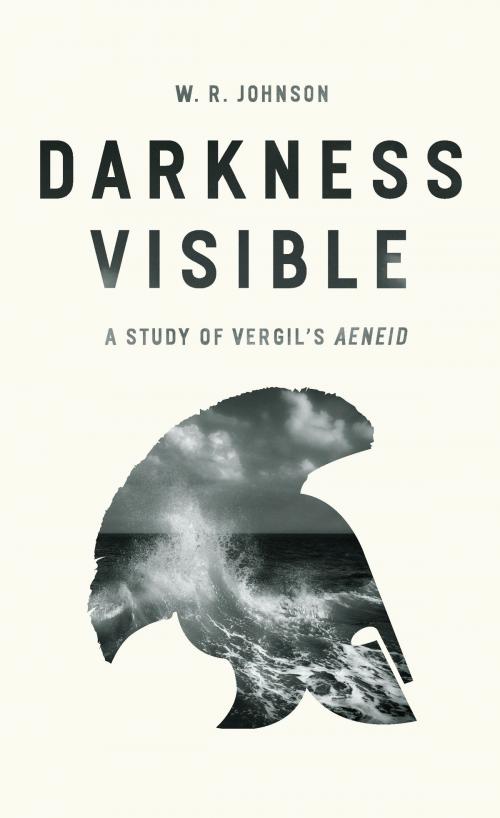 Cover of the book Darkness Visible by W. R. Johnson, University of Chicago Press