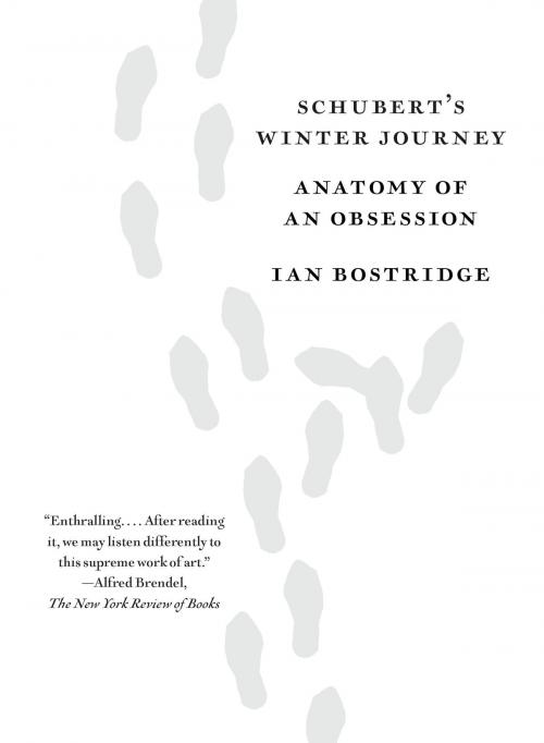 Cover of the book Schubert's Winter Journey by Ian Bostridge, Knopf Doubleday Publishing Group