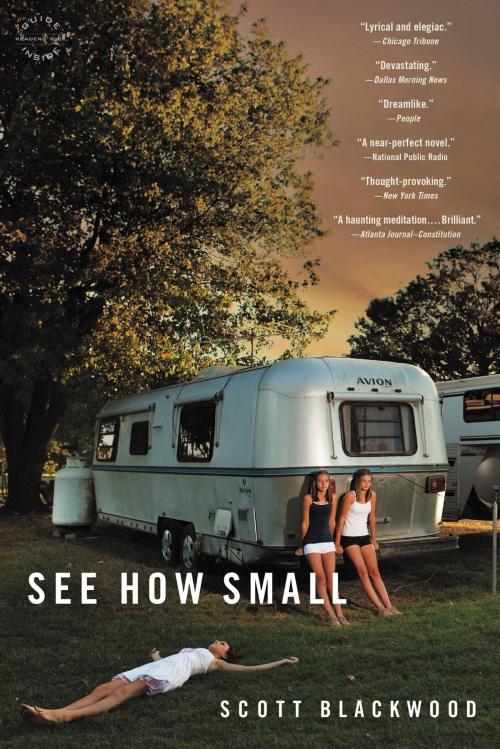 Cover of the book See How Small by Scott Blackwood, Little, Brown and Company