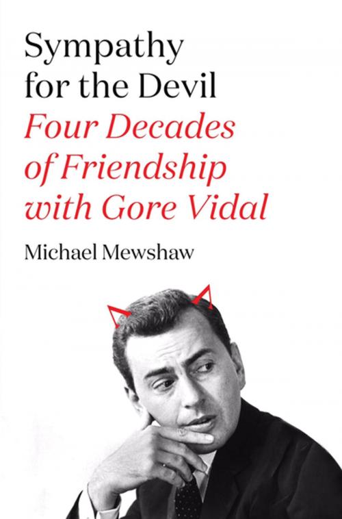 Cover of the book Sympathy for the Devil by Michael Mewshaw, Farrar, Straus and Giroux