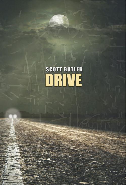 Cover of the book Drive by Scott Butler, Scott Butler
