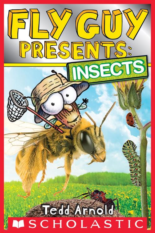 Cover of the book Fly Guy Presents: Insects (Scholastic Reader, Level 2) by Tedd Arnold, Scholastic Inc.