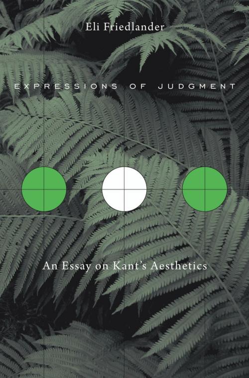 Cover of the book Expressions of Judgment by Eli Friedlander, Harvard University Press