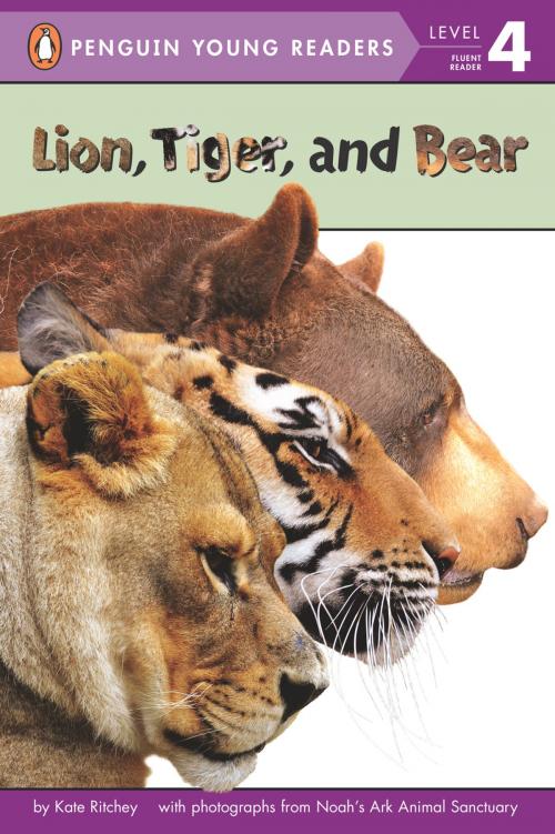 Cover of the book Lion, Tiger, and Bear by Kate Ritchey, Penguin Young Readers Group
