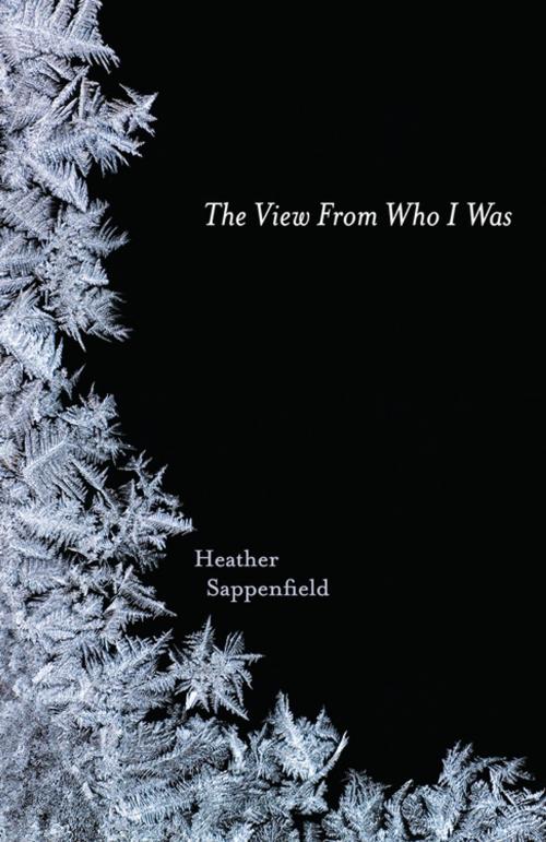 Cover of the book The View From Who I Was by Heather Sappenfield, North Star Editions