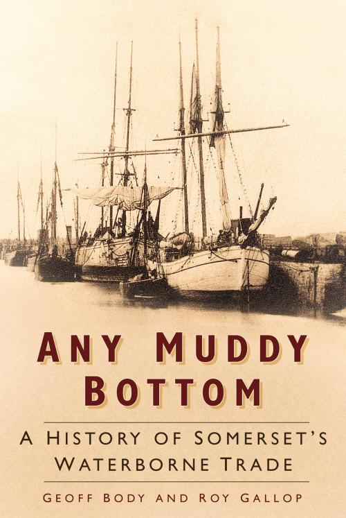 Cover of the book Any Muddy Bottom by Geoff Body, The History Press