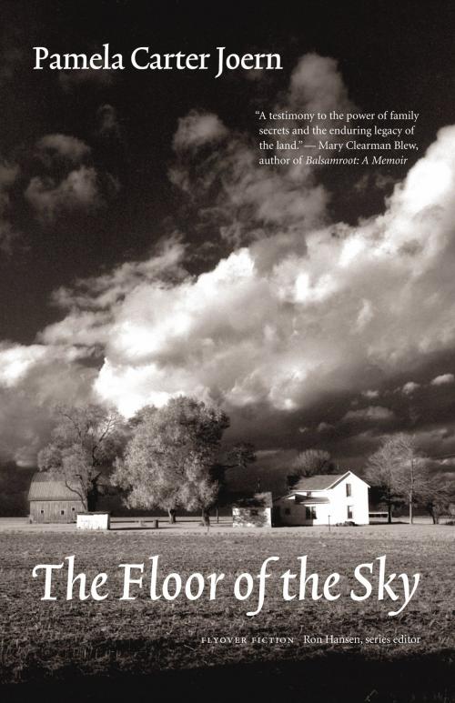 Cover of the book The Floor of the Sky by Pamela Carter Joern, UNP - Bison Original