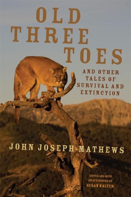 Cover of the book Old Three Toes and Other Tales of Survival and Extinction by John Joseph Mathews, University of Oklahoma Press
