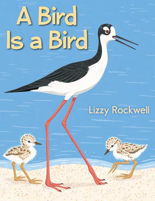 Cover of the book A Bird Is a Bird by Lizzy Rockwell, Holiday House