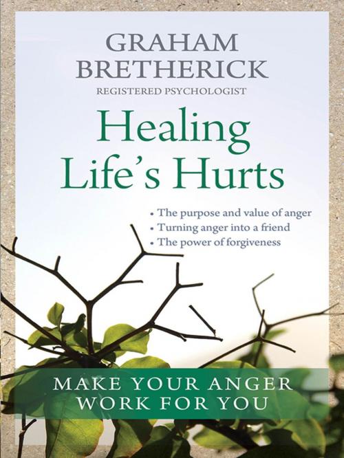 Cover of the book Healing Life's Hurts by Graham Bretherick MA, Lion Hudson LTD