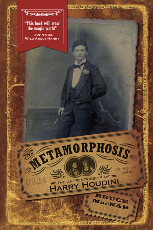 Cover of the book The Metamorphosis by Bruce MacNab, Goose Lane Editions