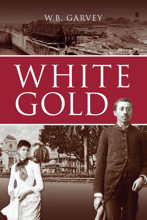 Cover of the book White Gold by W. B. Garvey, Jonkro Books