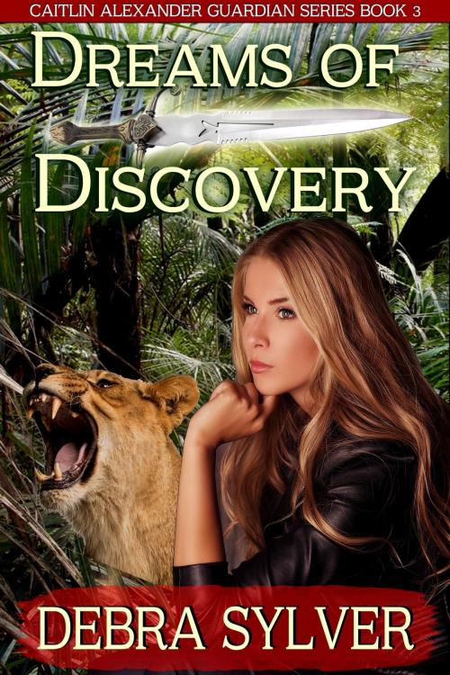 Cover of the book Dreams of Discovery by Debra Sylver, Debra Sylver
