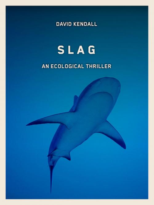 Cover of the book Slag by David Kendall, Lazaro Inc.