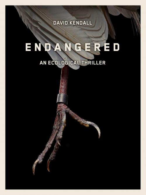 Cover of the book Endangered by David Kendall, Lazaro Inc.