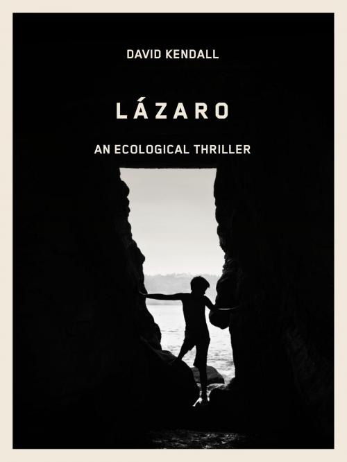 Cover of the book Lazaro by David Kendall, Lazaro Inc.
