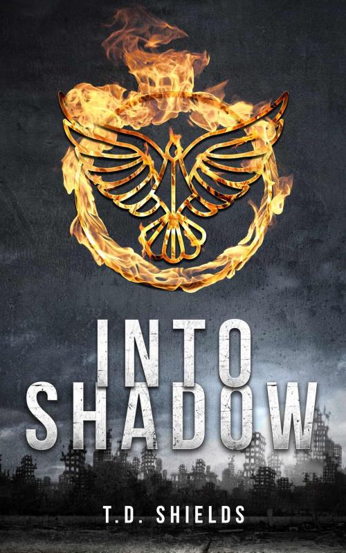 Cover of the book Into Shadow by T. D. Shields, Aelurus Publishing