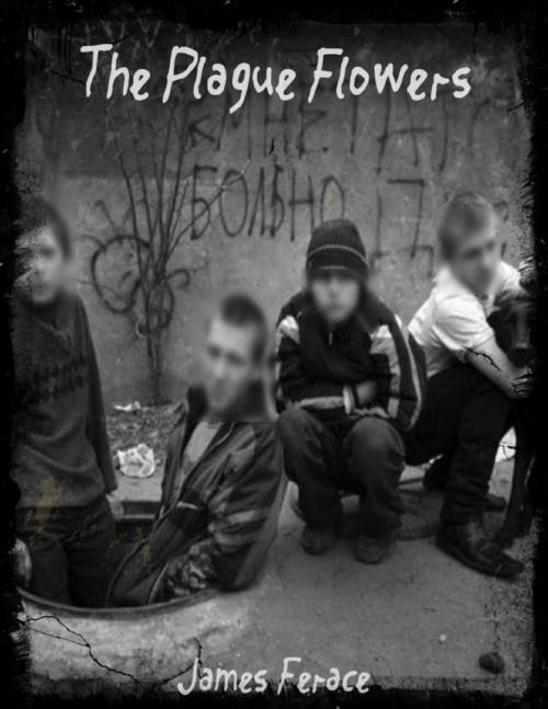Cover of the book The Plague Flowers by James Ferace, Lulu.com