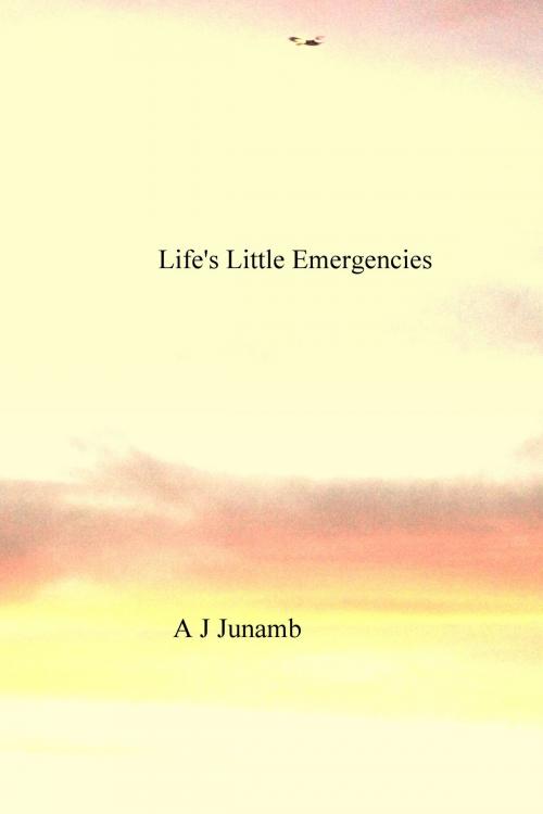 Cover of the book Life's Little Emergencies by A. J. Junamb, A. J. Junamb