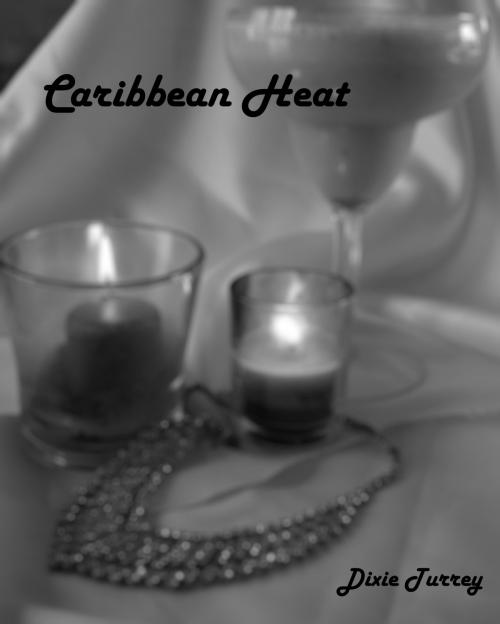 Cover of the book Caribbean Heat by Dixie Turrey, Dixie Turrey