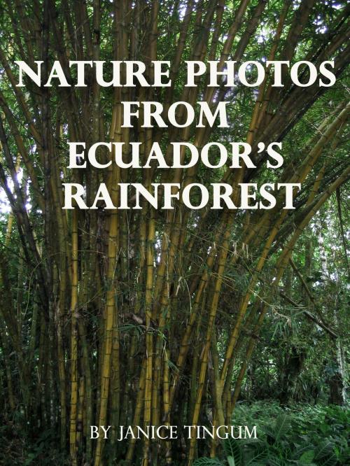 Cover of the book Nature Photos from Ecuador's Rainforest by Janice Tingum, Janice Tingum