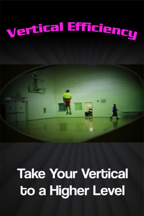 Cover of the book Vertical Efficiency: Take Your Vertical to a Higher Level by Vertical Efficiency, Vertical Efficiency