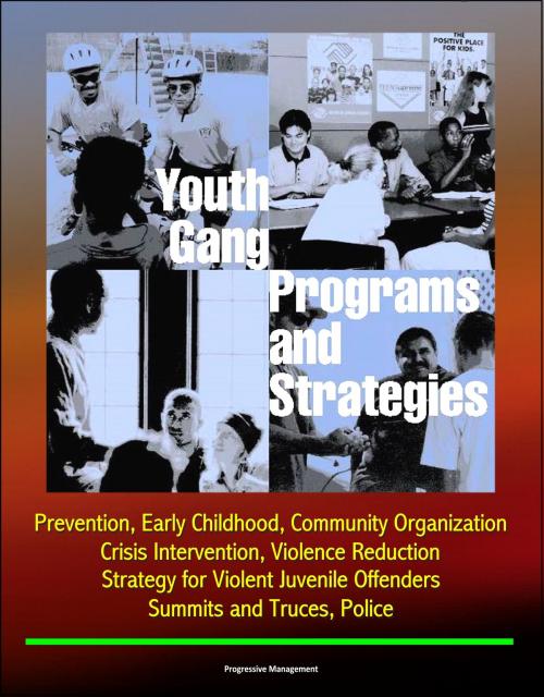 Cover of the book Youth Gang Programs and Strategies: Prevention, Early Childhood, Community Organization, Crisis Intervention, Violence Reduction, Strategy for Violent Juvenile Offenders, Summits and Truces, Police by Progressive Management, Progressive Management