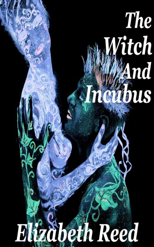Cover of the book The Witch and the Incubus by Elizabeth Reed, Elizabeth Reed