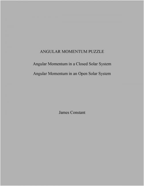 Cover of the book Angular Momentum Puzzle by James Constant, James Constant