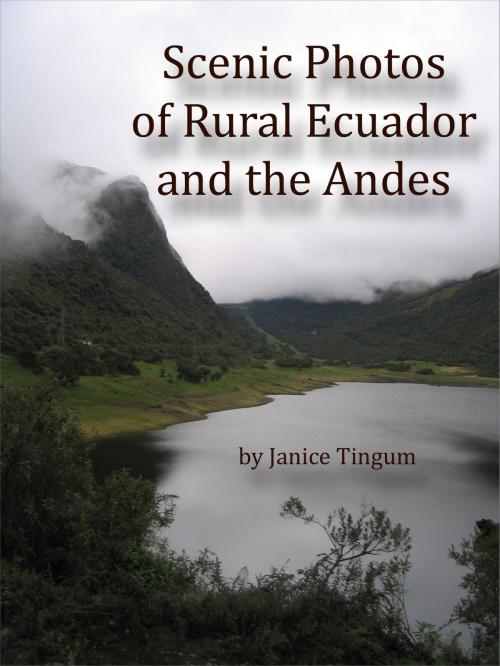Cover of the book Scenic Photos of Rural Ecuador and the Andes by Janice Tingum, Janice Tingum