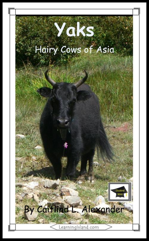 Cover of the book Yaks: Hairy Cows of Asia: Educational Version by Caitlind L. Alexander, LearningIsland.com