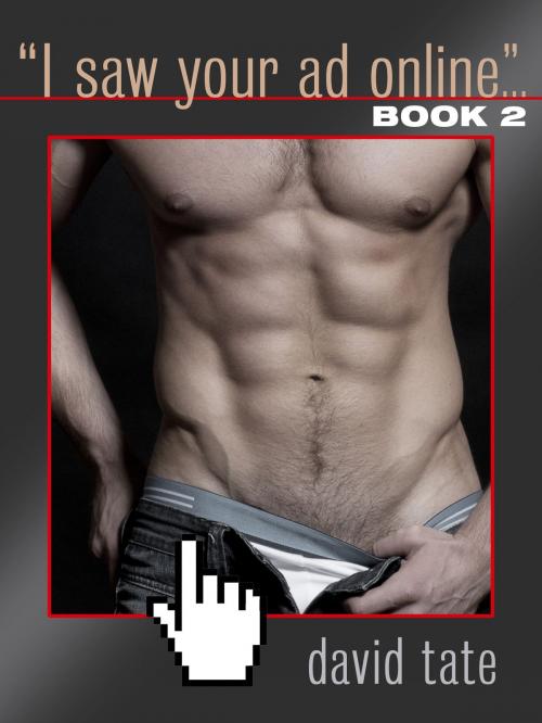 Cover of the book "I Saw Your Ad Online..." Book 2 by David Tate, David Tate