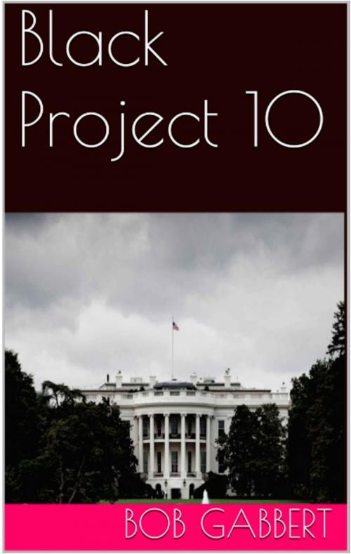 Cover of the book Black Project 10 by Bob Gabbert, Bob Gabbert