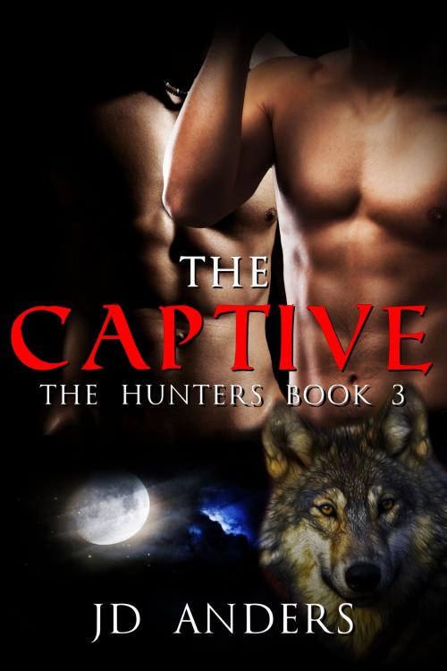 Cover of the book The Captive by JD Anders, JD Anders