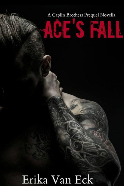 Cover of the book Ace's Fall by Erika Van Eck, Erika Van Eck