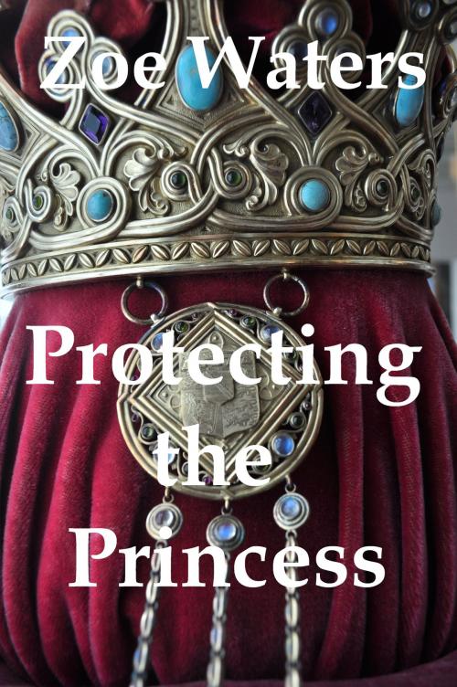 Cover of the book Protecting the Princess by Zoe Waters, Zoe Waters