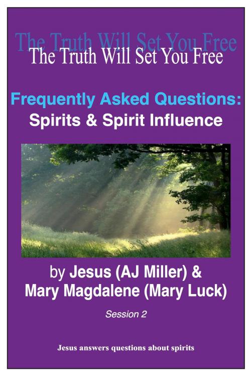 Cover of the book Frequently Asked Questions: Spirits & Spirit Influence Session 2 by Jesus (AJ Miller), Mary Magdalene (Mary Luck), Divine Truth Pty Ltd