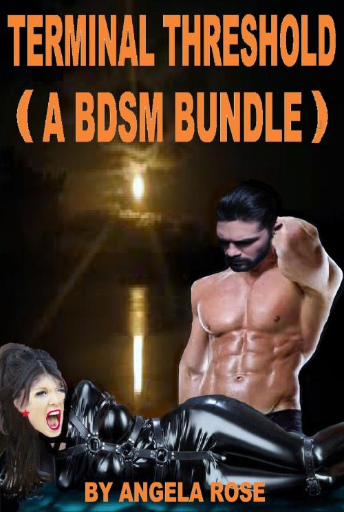 Cover of the book Terminal Threshold (A BDSM Bundle) by Angela Rose, Angela Rose