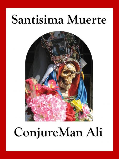 Cover of the book Santisima Muerte by ConjureMan Ali, Hadean