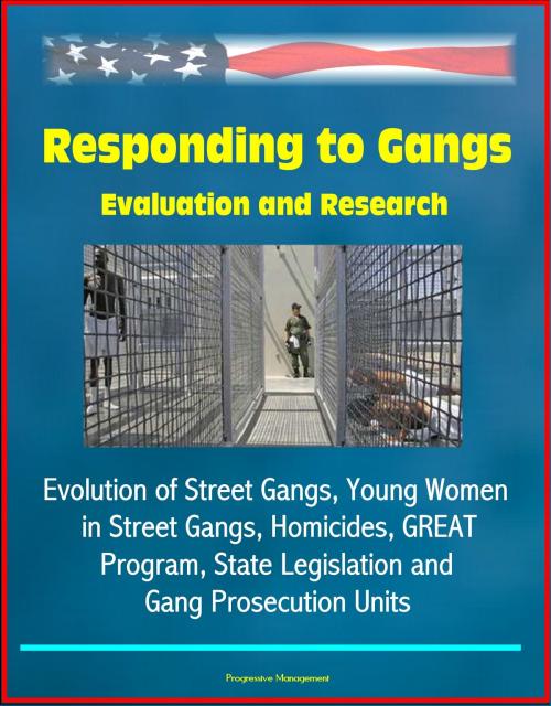 Cover of the book Responding to Gangs: Evaluation and Research - Evolution of Street Gangs, Young Women in Street Gangs, Homicides, GREAT Program, State Legislation and Gang Prosecution Units by Progressive Management, Progressive Management
