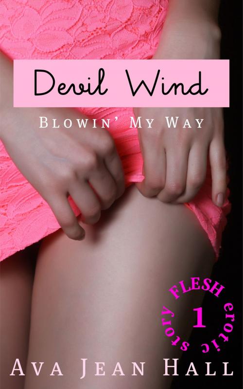 Cover of the book Devil Wind: Blowin' My Way by Ava Jean Hall, Ava Jean Hall