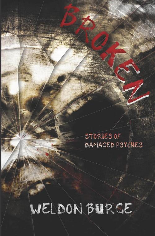 Cover of the book Broken: Stories of Damaged Psyches by Weldon Burge, Smart Rhino Publications