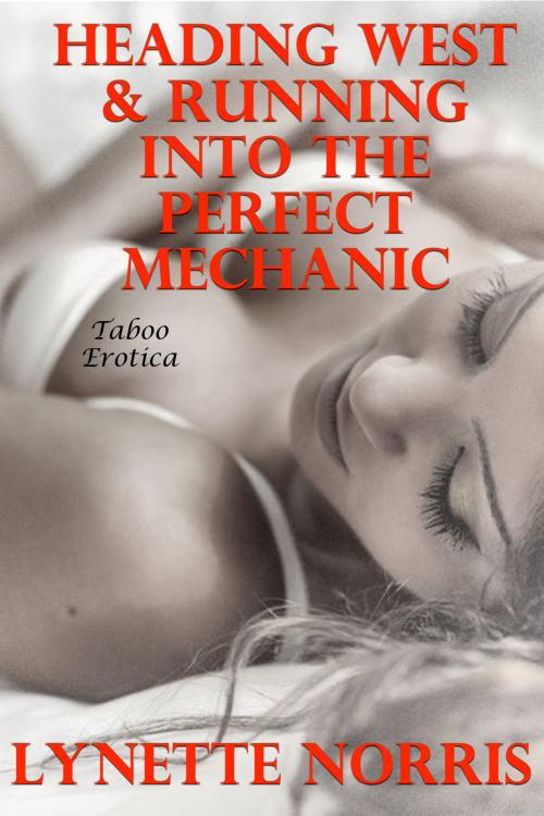 Cover of the book Heading West & Running Into The Perfect Mechanic (Taboo Erotica) by Lynette Norris, Lisa Castillo-Vargas