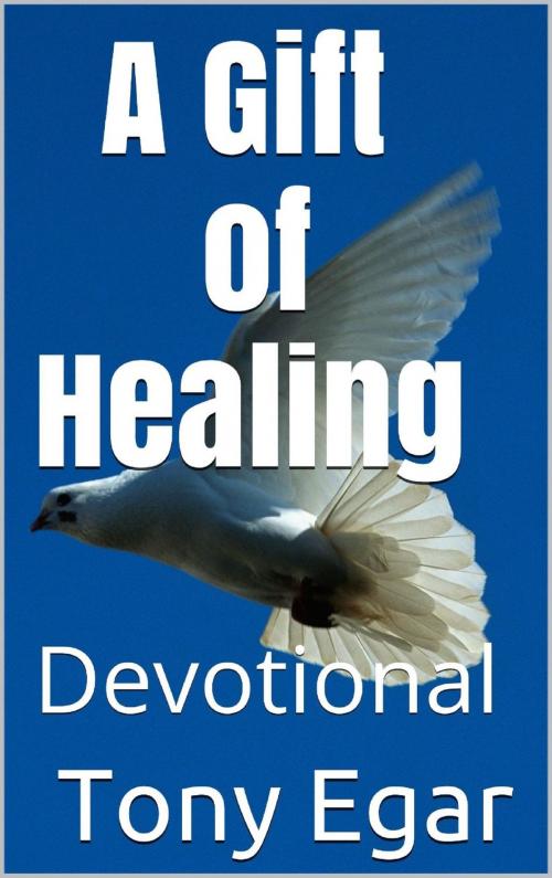 Cover of the book A Gift of Healing by Tony Egar, Tony Egar