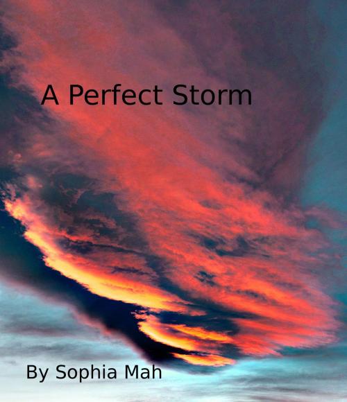 Cover of the book A Perfect Storm by Sophia Mah, Sophia Mah